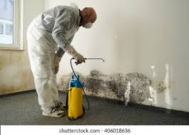 Mold Remediation for Rental Properties in Coopertown, TN